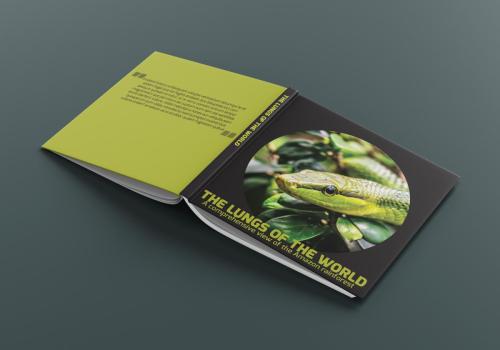 Amazon Book